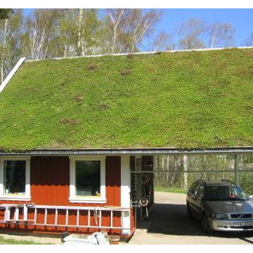 Grønt tag med hældning