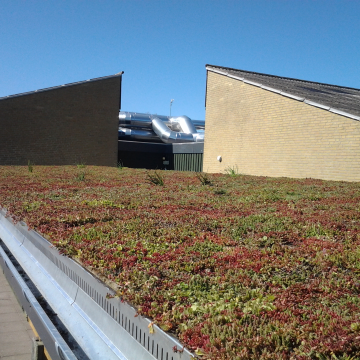 Hvorfor er grønne tage en god investering?