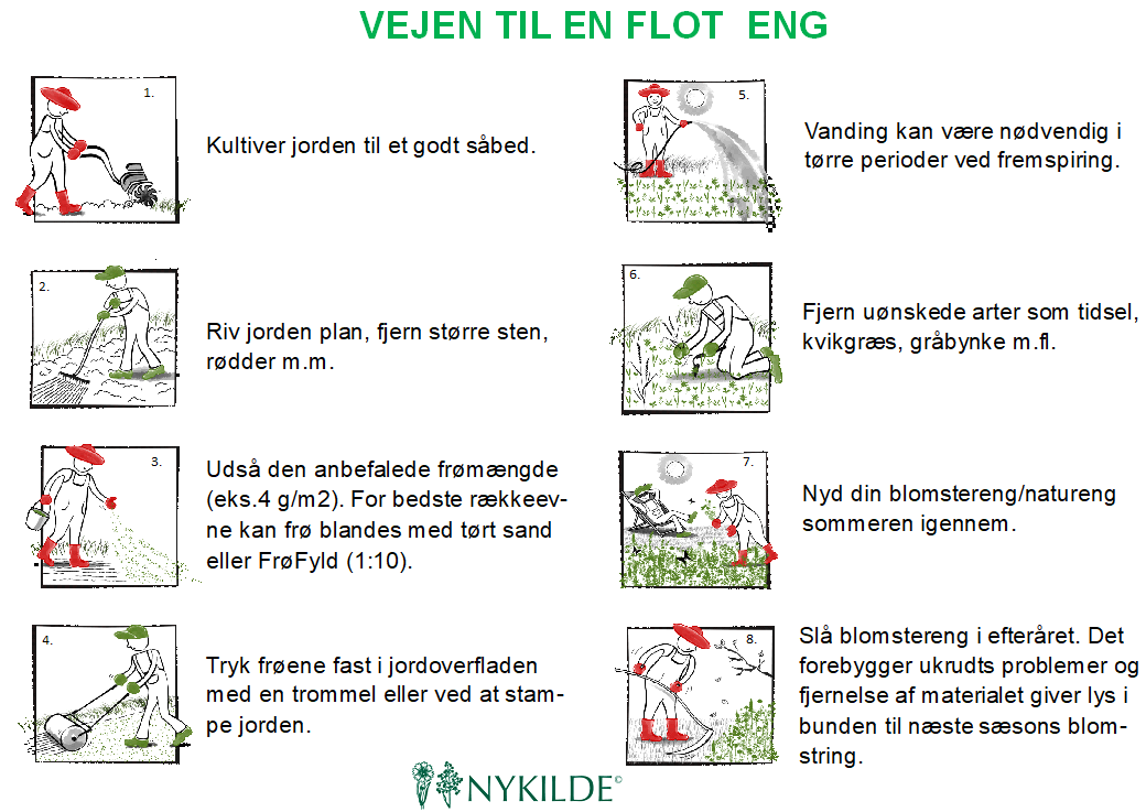 Vejledning til frøetablering og vedligehold.