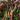 Flerfarvet Lupin (Russels hybrider) (1 kg)