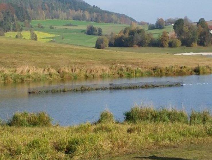 Blåalgebekæmpelse ved Hammersøen i Bodenwöhr og Eixendorfer reservoiret