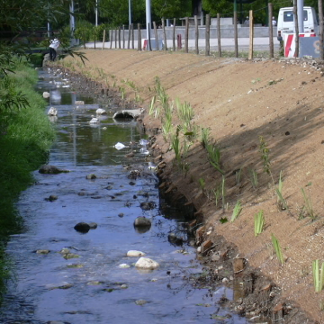 Læs om GREENFIX' kemisk ubehandlet Geonet