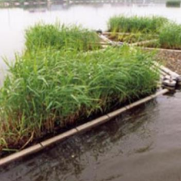 AquaGreen Flydeøer