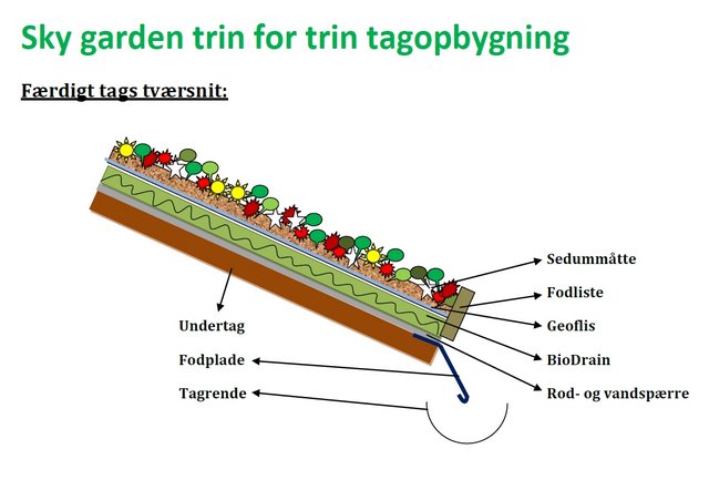 Vejledning og rådgivning om grønne tage