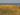 dune baltic sea sea dune grass coast coastal landscape autumn autumn colours 1330664