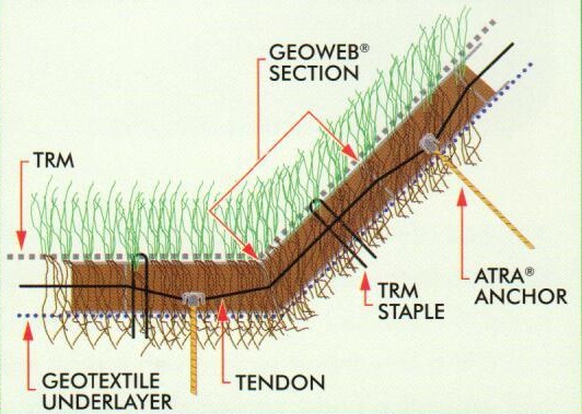 Vejledning og rådgivning om SoilWeb geoceller